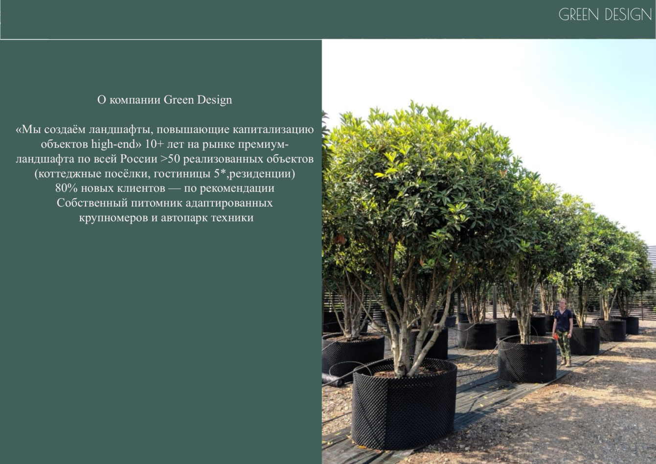 Питомник крупномеров Green Design